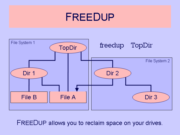 FREEDUP INTRODUTCTION DIAGRAM 3